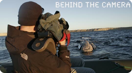Behind the Camera with Chris Johnson of earthOCEAN.tv