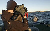 Presentation - Chris Johnson, Behind the Camera